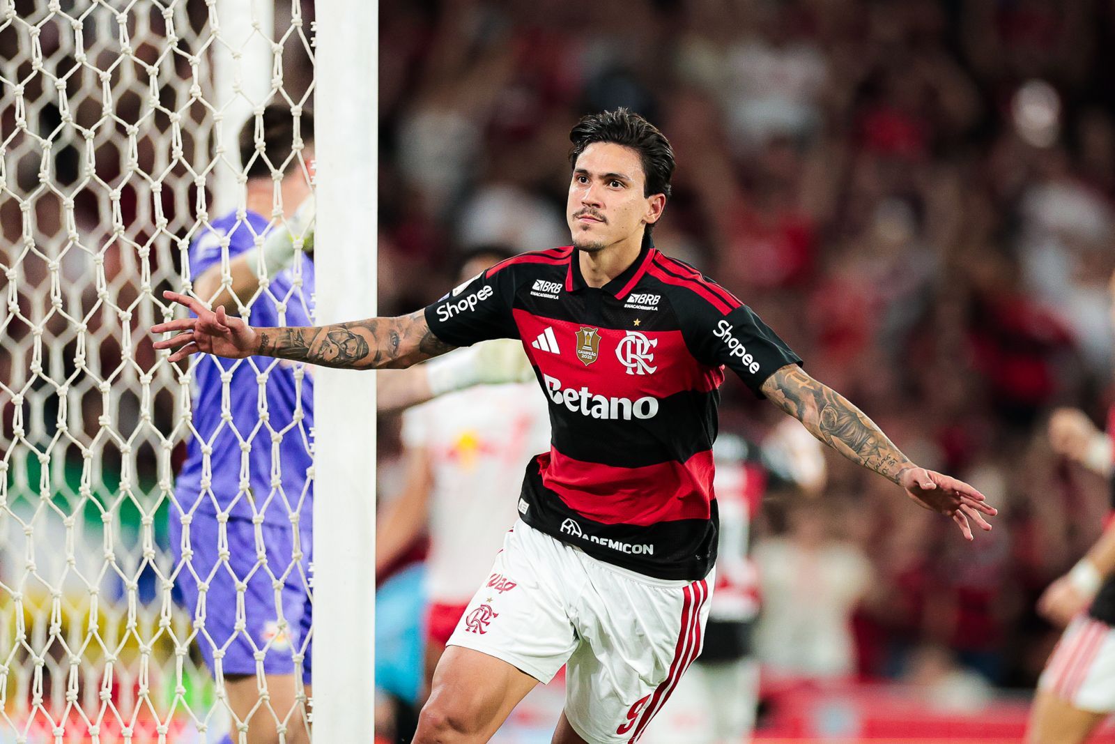 Santos vs Flamengo
